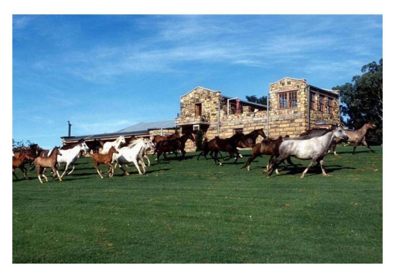 Moolmanshoek Private Game Reserve Fouriesburg Exterior photo